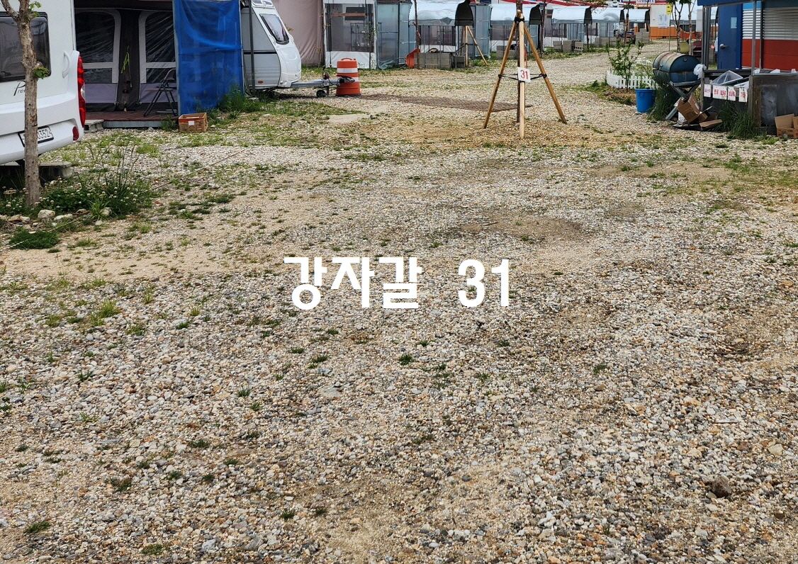 Gravel31